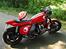 Honda Goldwing GL 1100 (Cafe Racer Edition) (SOLGT)