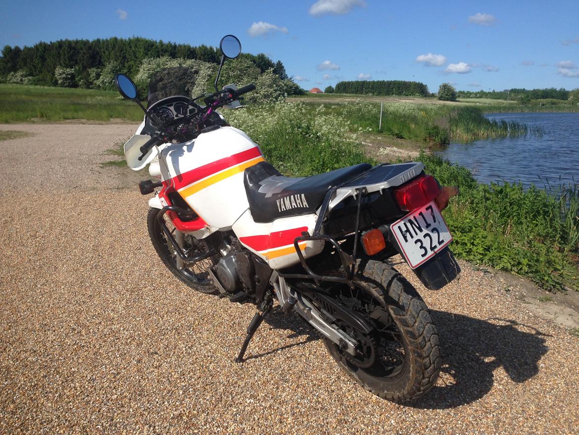 Yamaha XTZ 750 Super Tenere billede 10