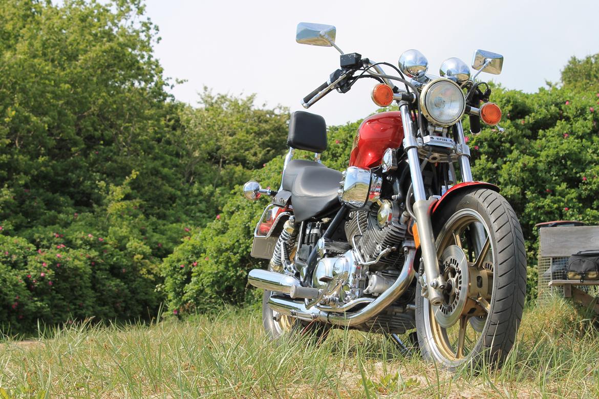 Yamaha Virago 1100 gold  billede 8