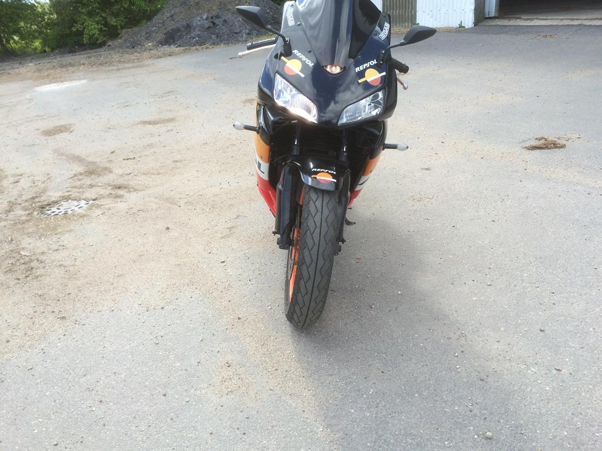 Honda CBR 600 billede 6