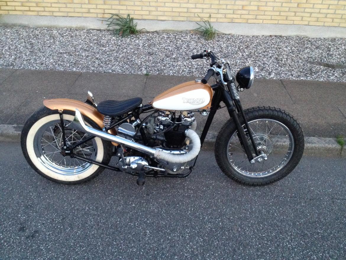 Triumph Speed twin Bobber billede 6