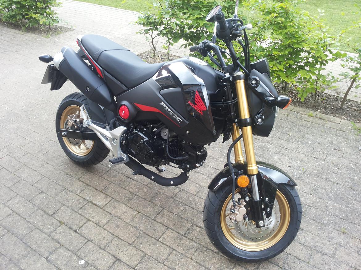 Honda MSX 125 billede 4