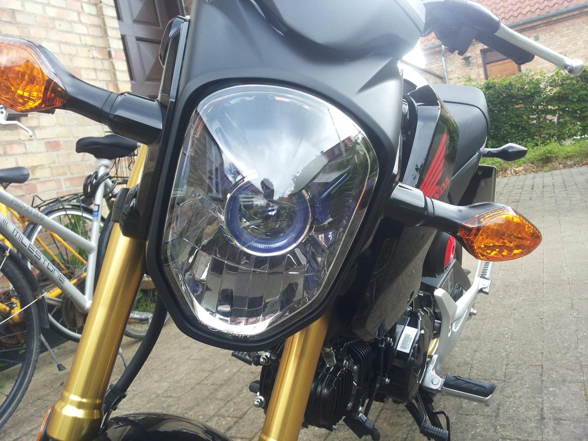 Honda MSX 125 billede 5