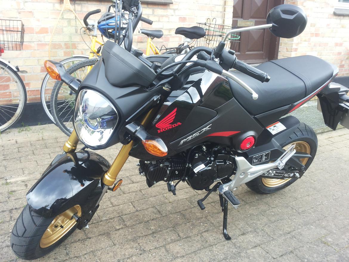 Honda MSX 125 billede 1