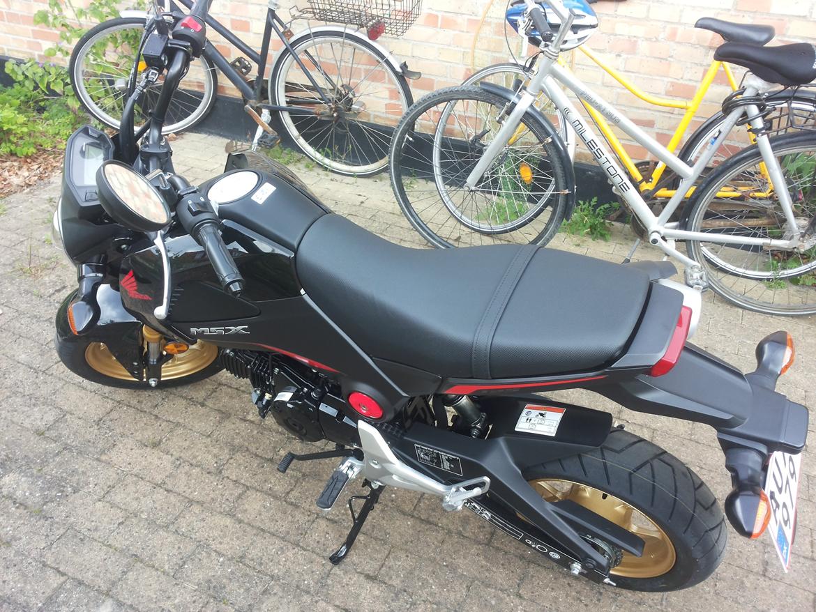 Honda MSX 125 billede 2