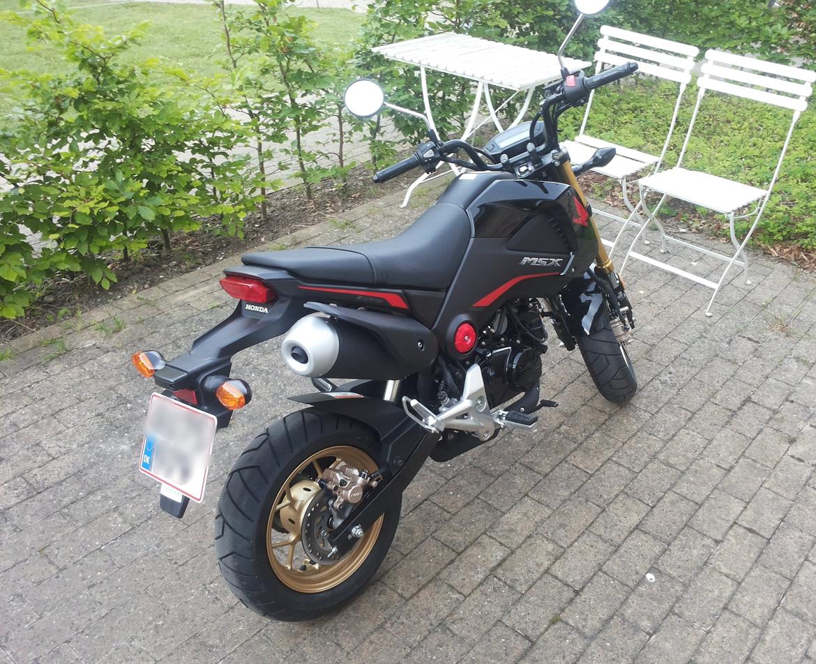 Honda MSX 125 billede 3