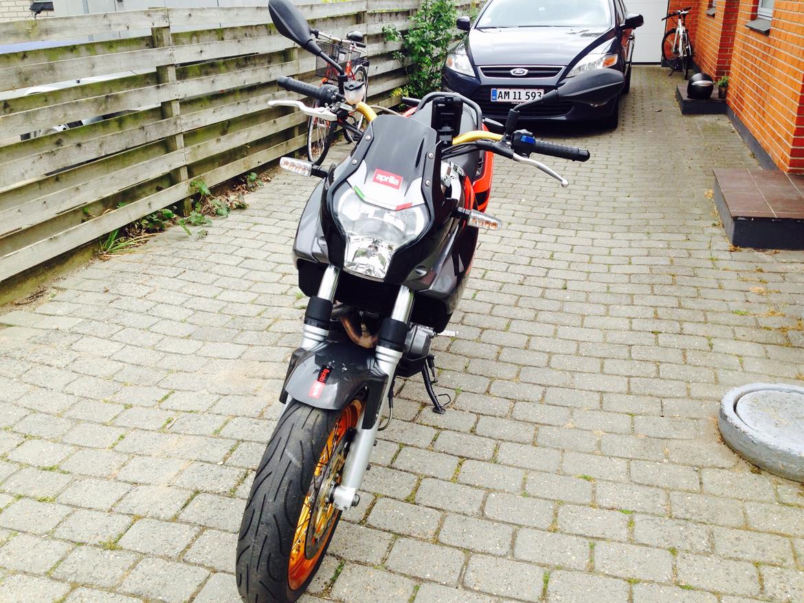 Aprilia Pegaso 650 factory billede 5