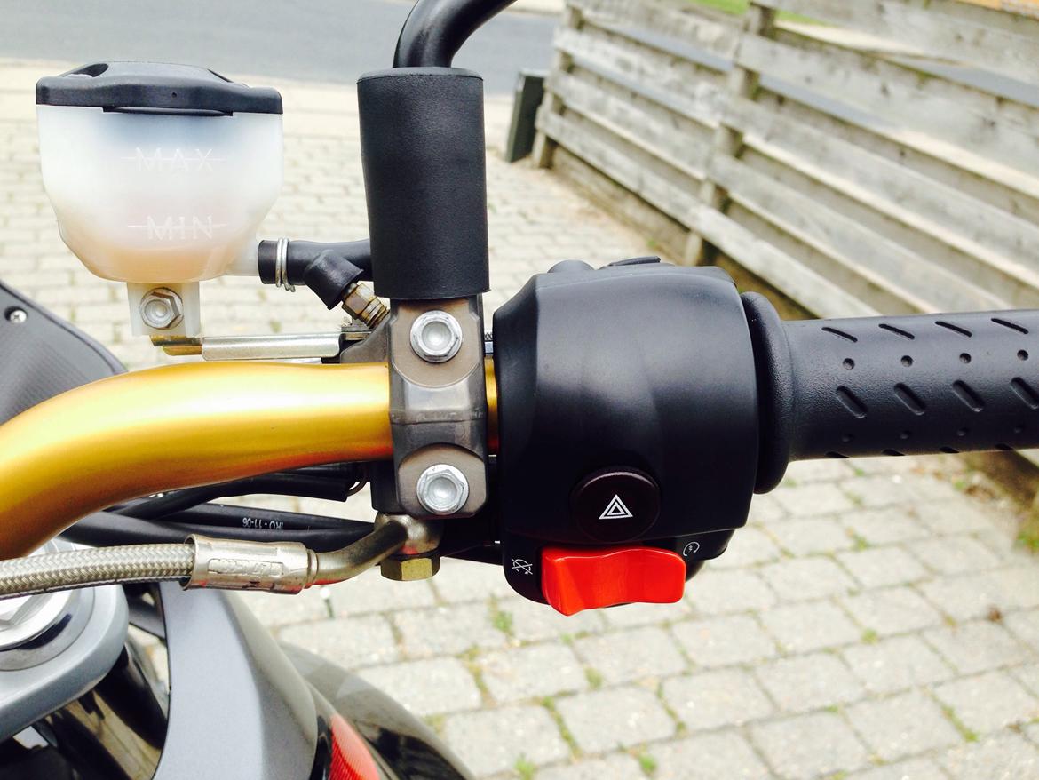 Aprilia Pegaso 650 factory billede 8