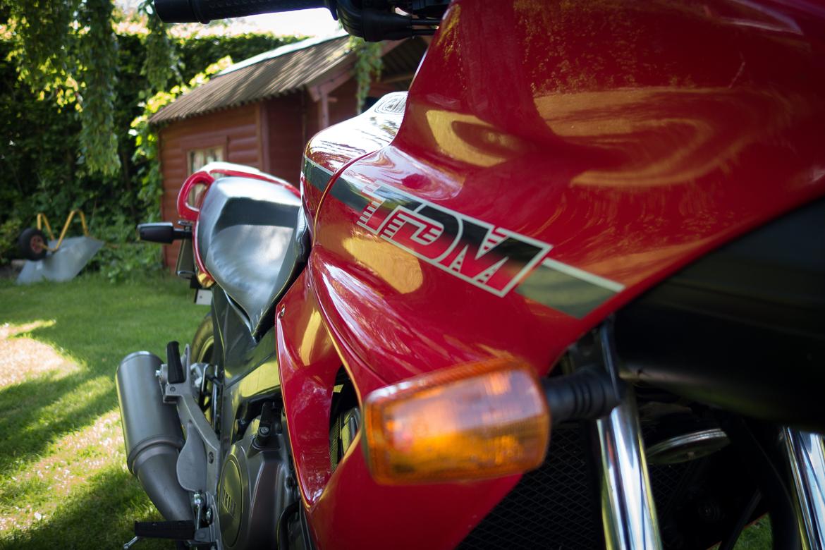 Yamaha TDM 850 billede 2