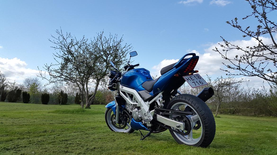 Suzuki SV 650 N billede 3