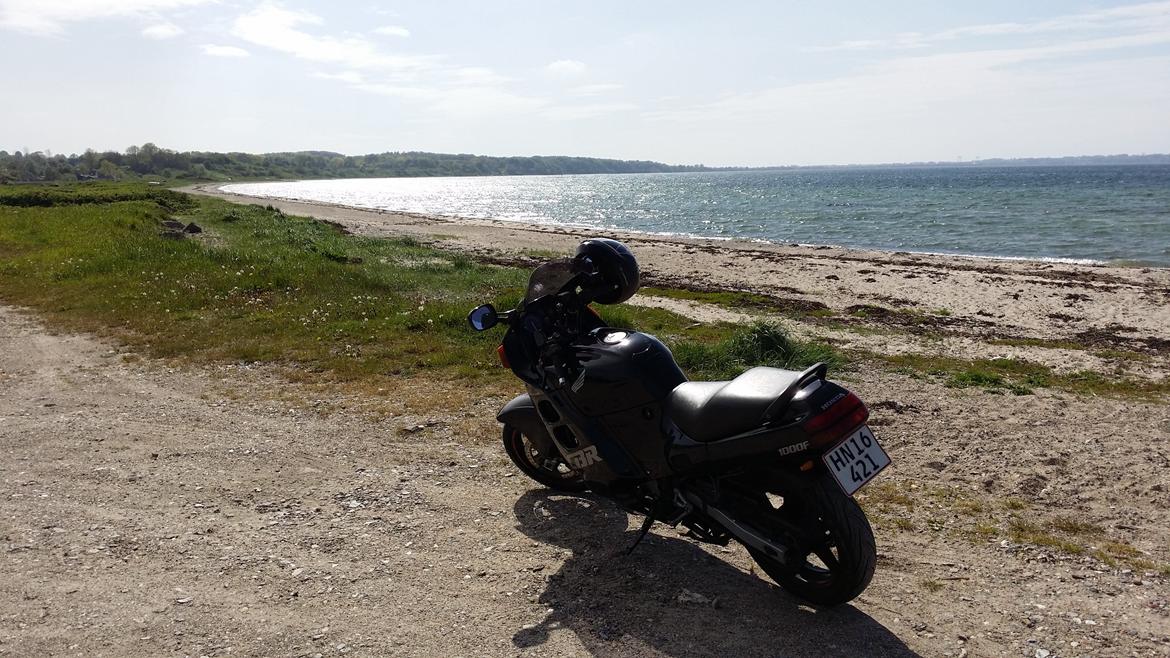 Honda CBR 1000 F (SOLGT) billede 3