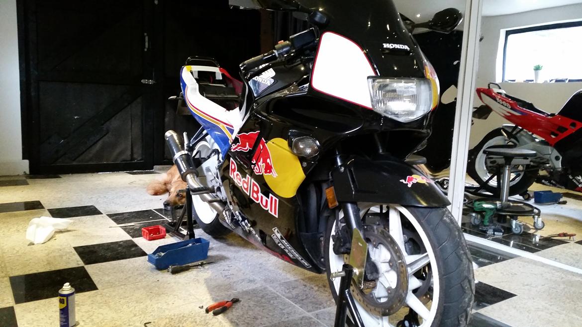 Honda CBR 600 F2 (solgt) - Prøvemontering af nye skjolde billede 7