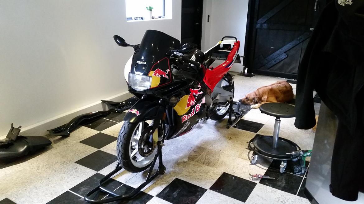 Honda CBR 600 F2 (solgt) - Prøvemontering af nye skjolde billede 8