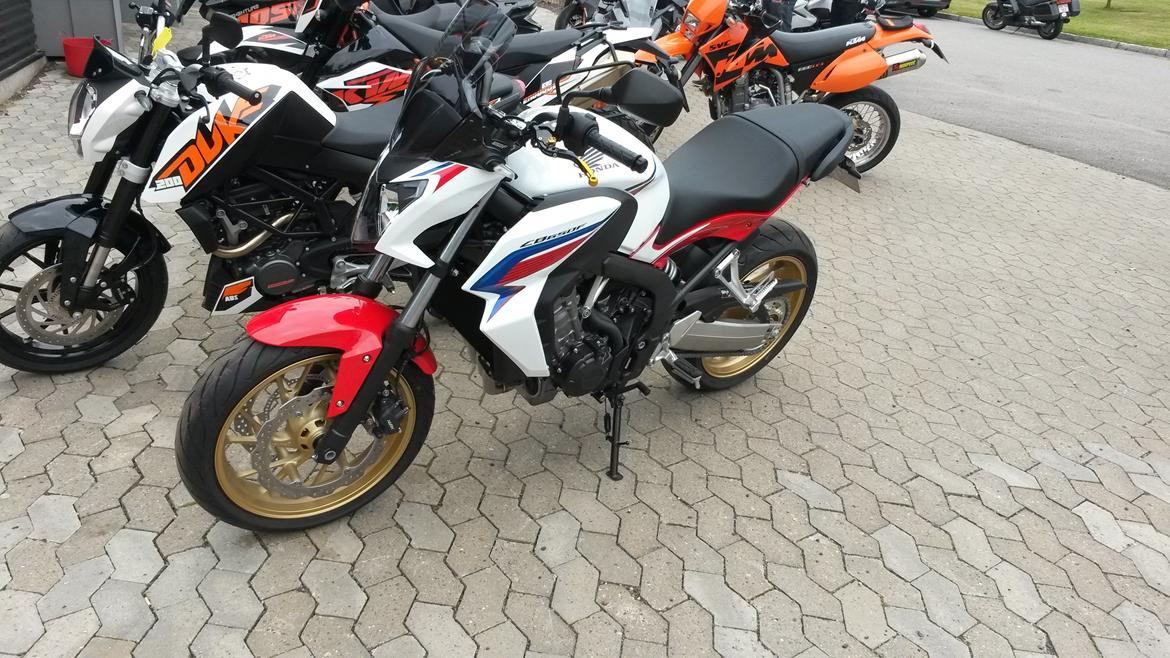 Honda CB650F Tricolor - Min ktm i baggrunden inden vi byttede.  billede 12