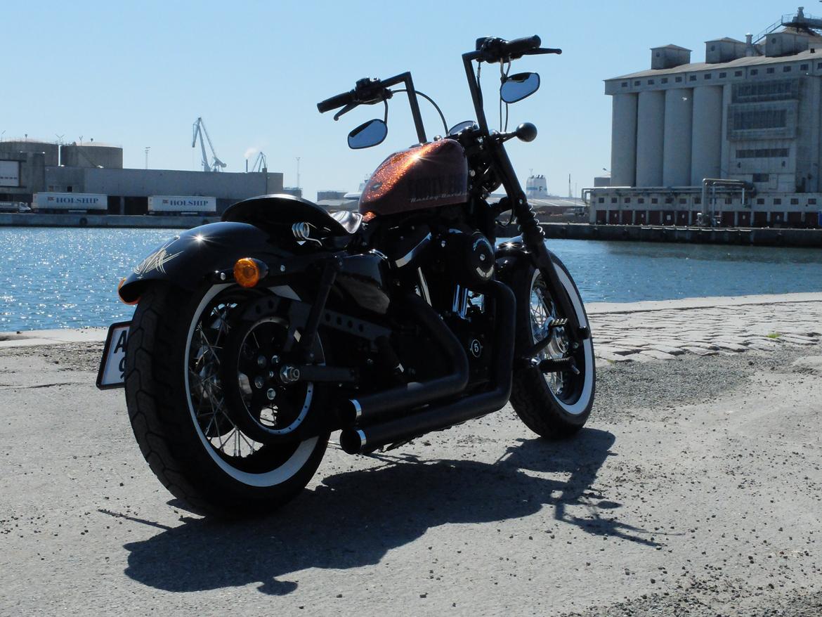 Harley Davidson Forty Eight XL1200 billede 2