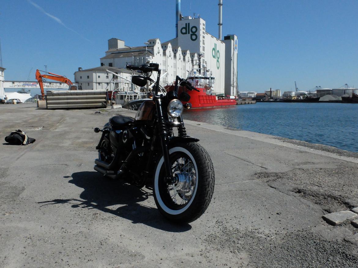 Harley Davidson Forty Eight XL1200 billede 5