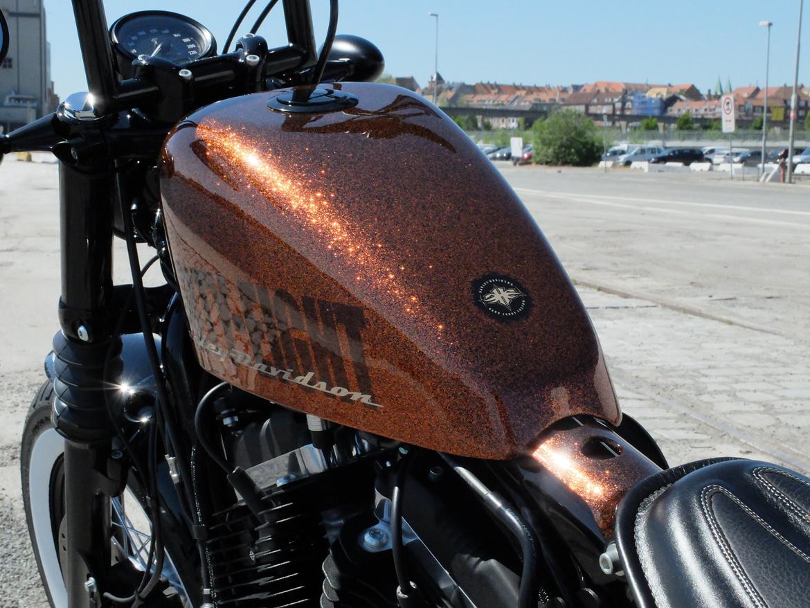 Harley Davidson Forty Eight XL1200 billede 9