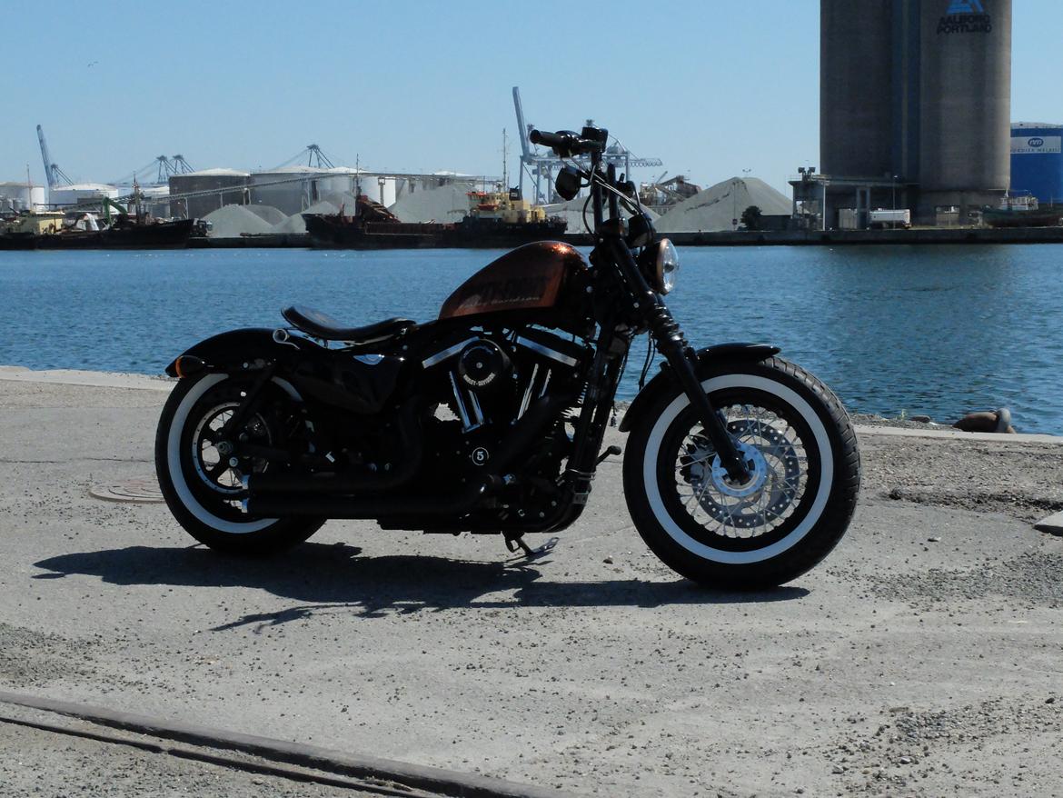 Harley Davidson Forty Eight XL1200 billede 12