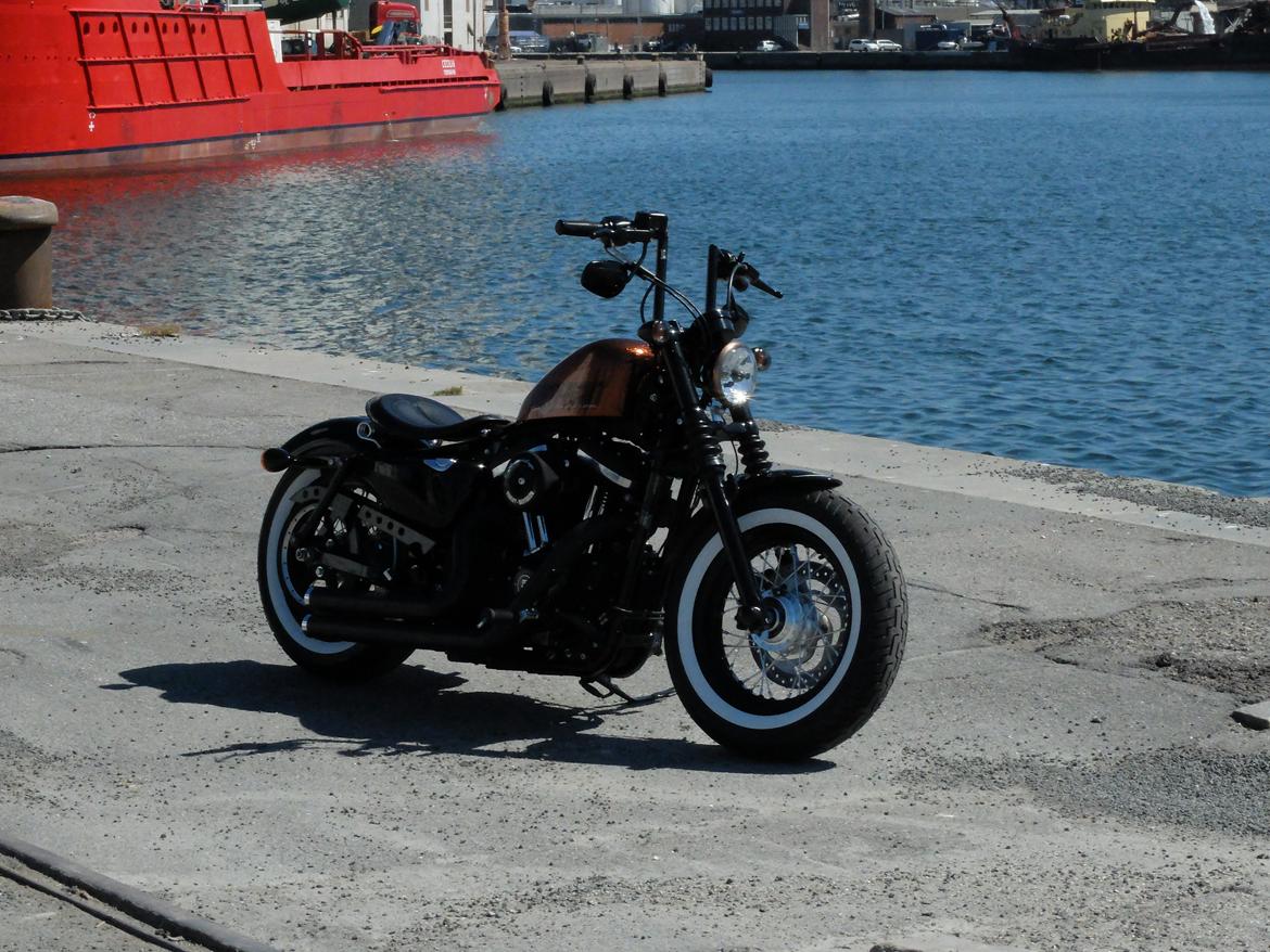 Harley Davidson Forty Eight XL1200 billede 16