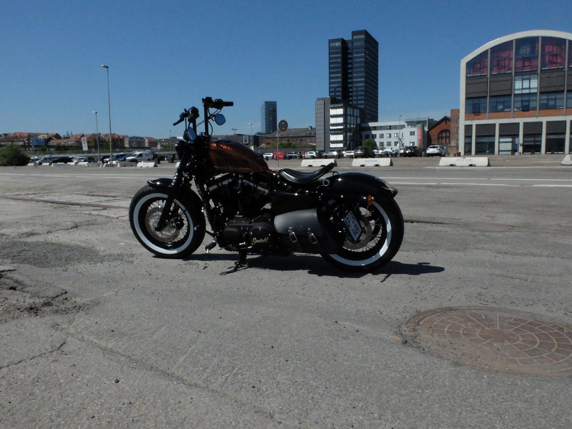 Harley Davidson Forty Eight XL1200 billede 21