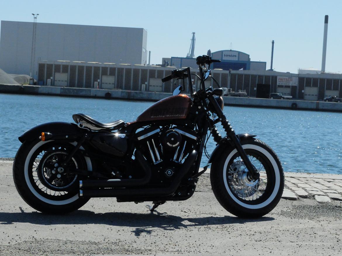 Harley Davidson Forty Eight XL1200 billede 23
