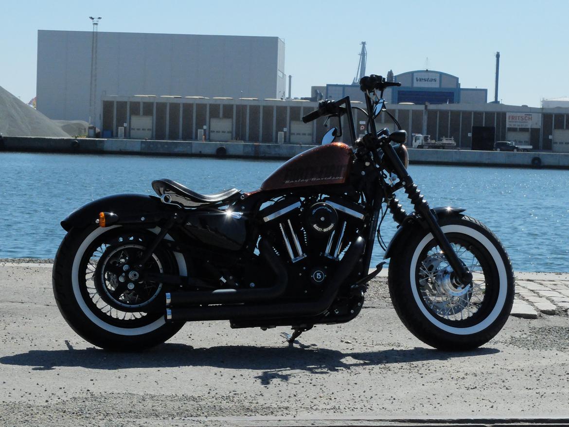 Harley Davidson Forty Eight XL1200 billede 25