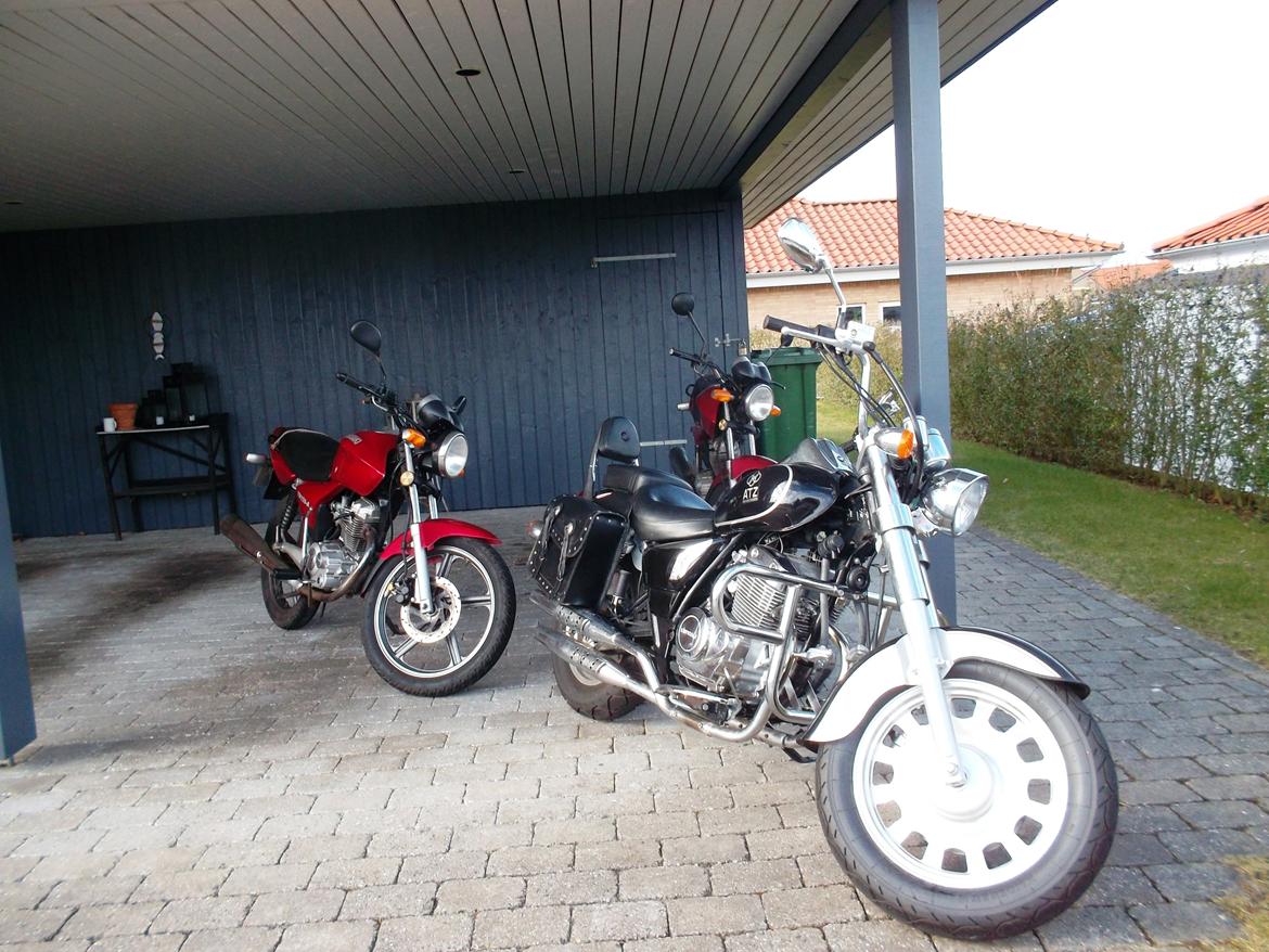 Dorton Kinroad ATZ - Kig ind i stalden billede 7