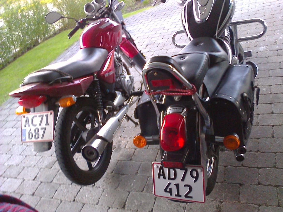 Dorton Kinroad ATZ - Her set bagfra sammen med min crazy donkey Yamasakien  billede 2