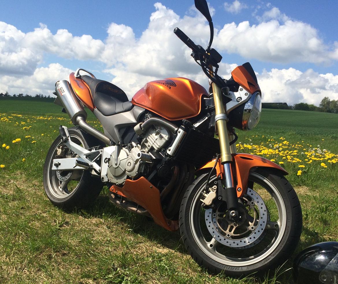 Honda CB 600 Hornet (solgt) billede 1