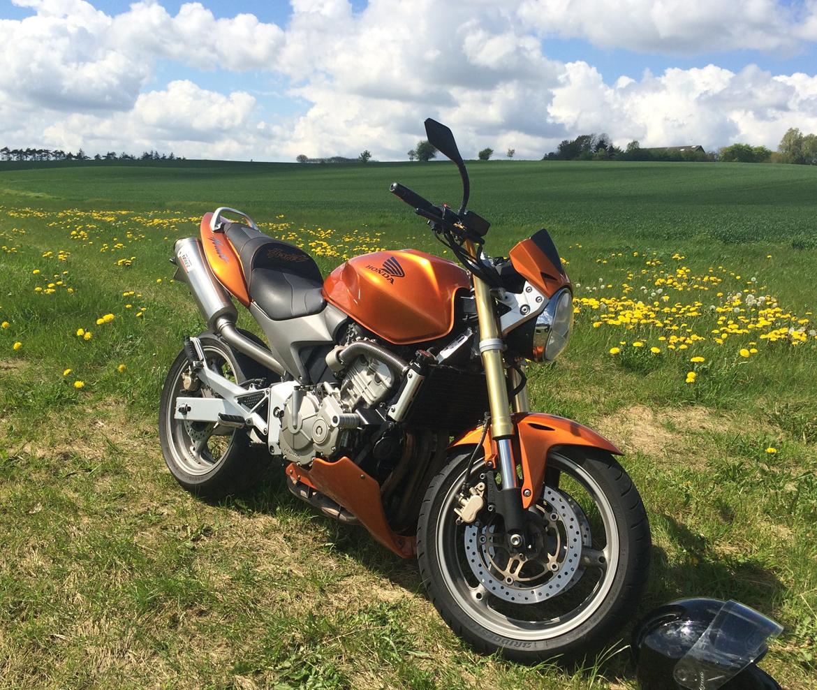 Honda CB 600 Hornet (solgt) billede 5