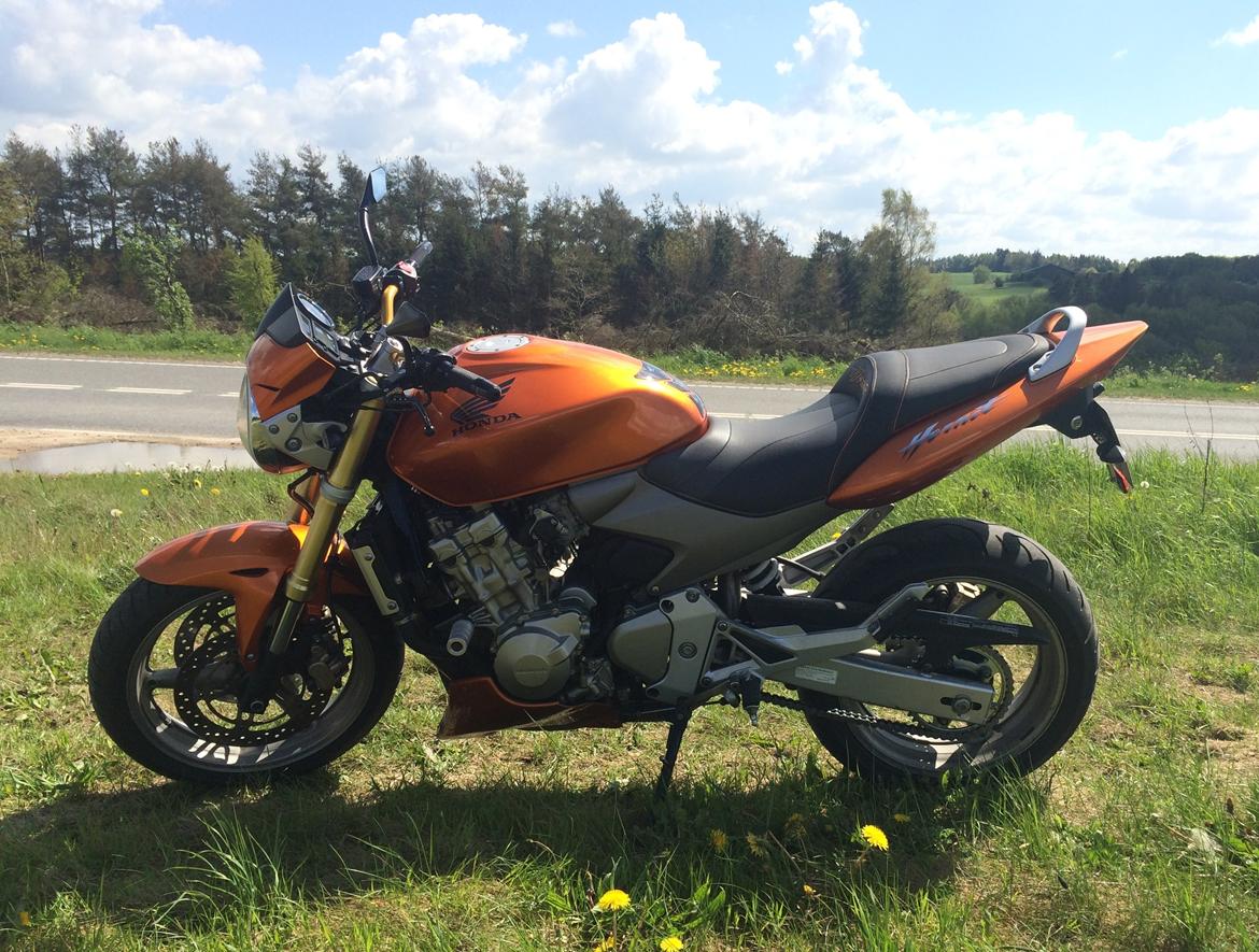 Honda CB 600 Hornet (solgt) billede 8