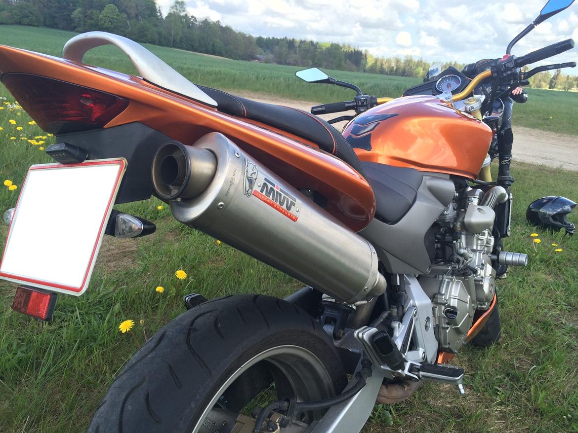 Honda CB 600 Hornet (solgt) billede 9