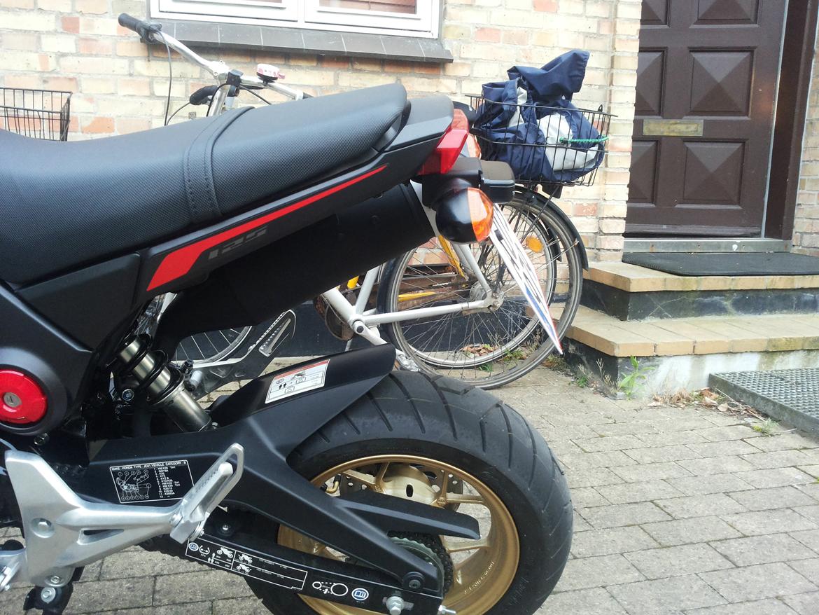 Honda MSX 125 billede 6