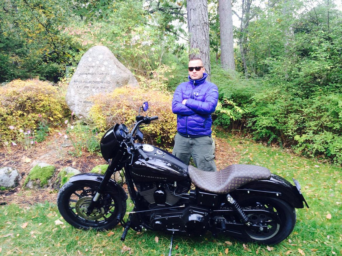 Harley Davidson Dyna Sport billede 3