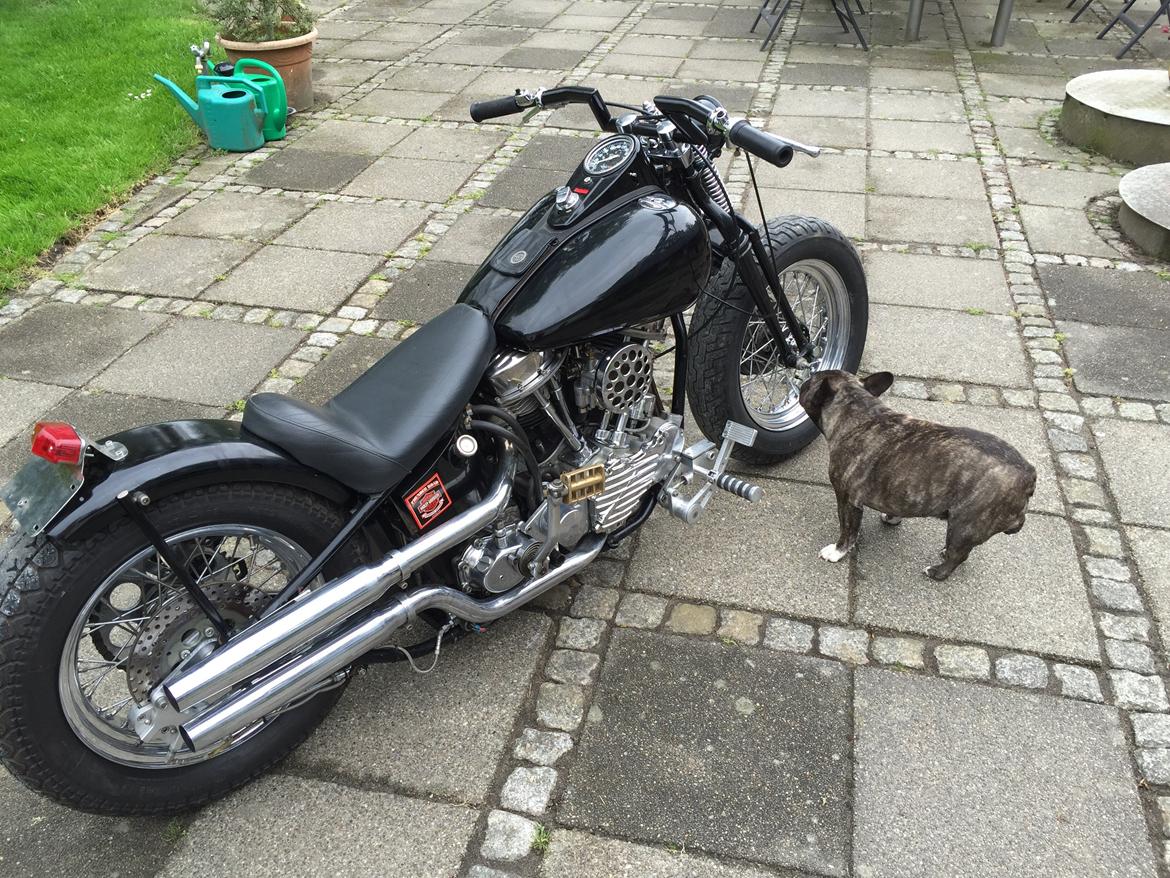 Harley Davidson FL 1200 *SOLGT* billede 13