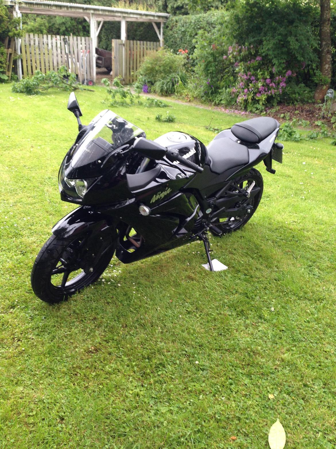 Kawasaki Ninja 250r billede 6