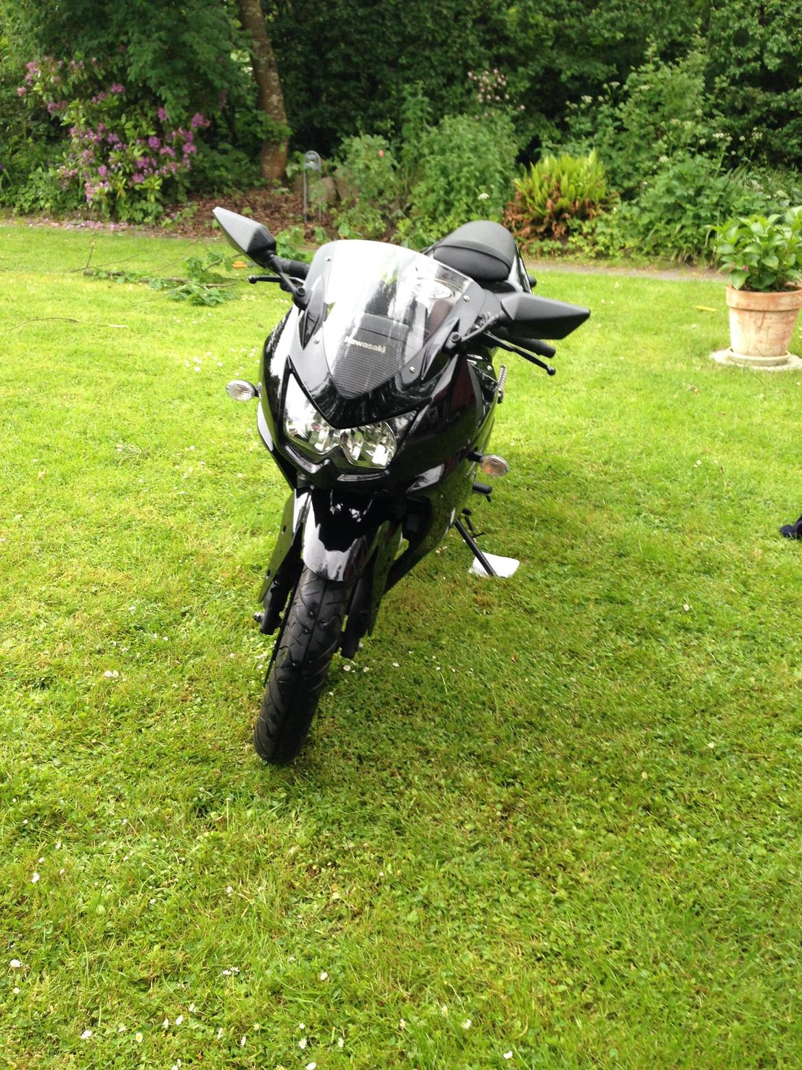 Kawasaki Ninja 250r billede 9