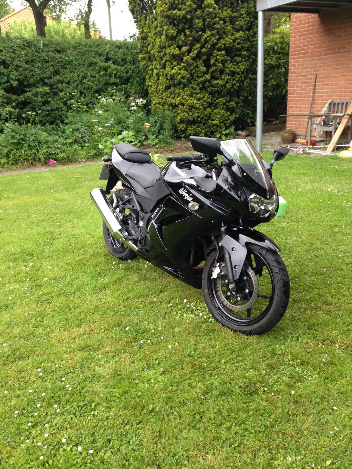 Kawasaki Ninja 250r billede 10