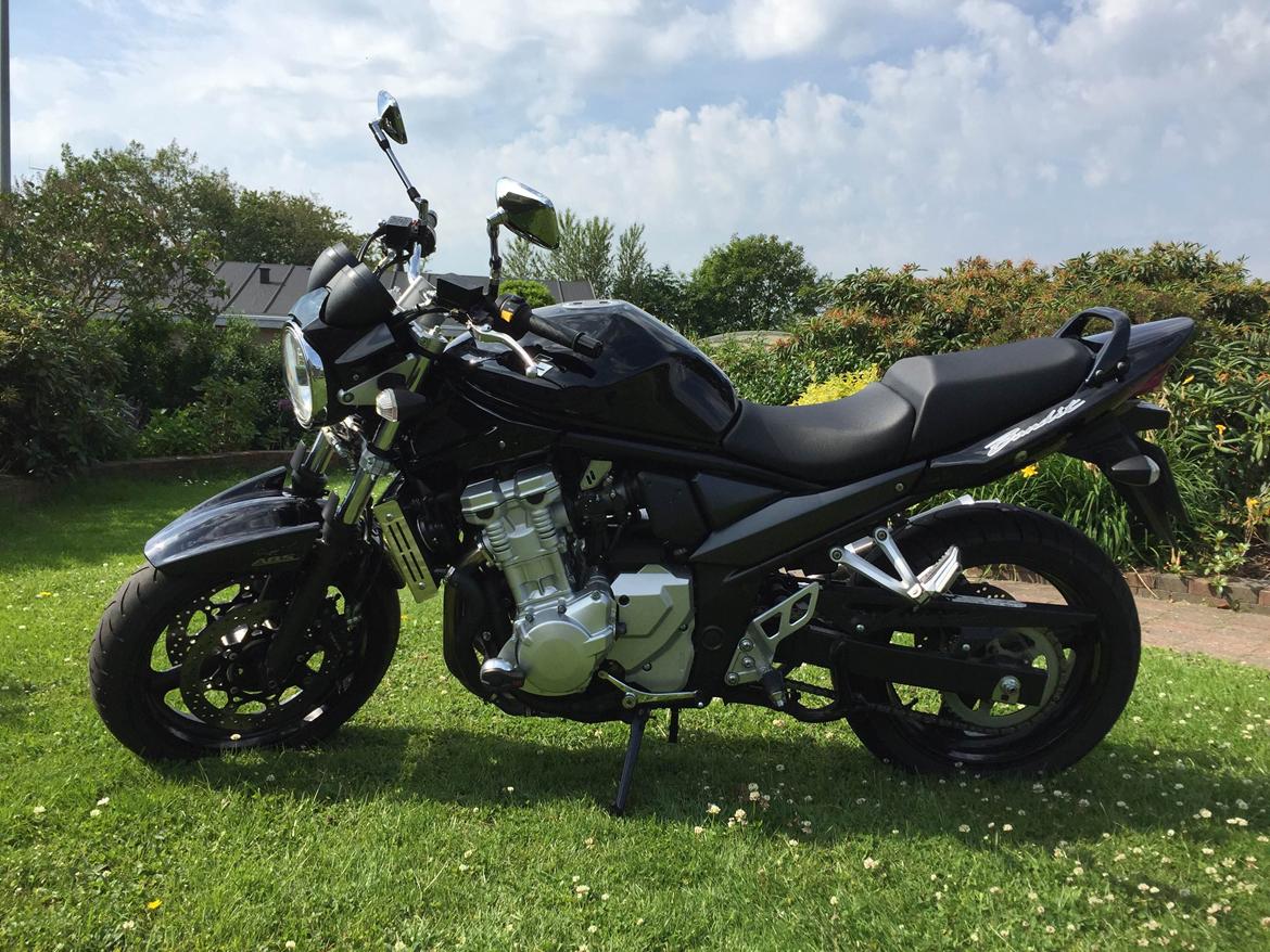 Suzuki GSF 650 Bandit billede 5