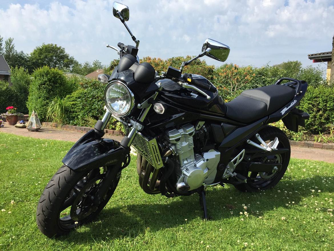 Suzuki GSF 650 Bandit billede 4