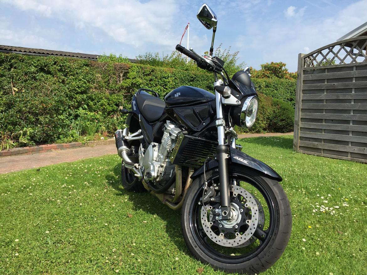 Suzuki GSF 650 Bandit billede 6