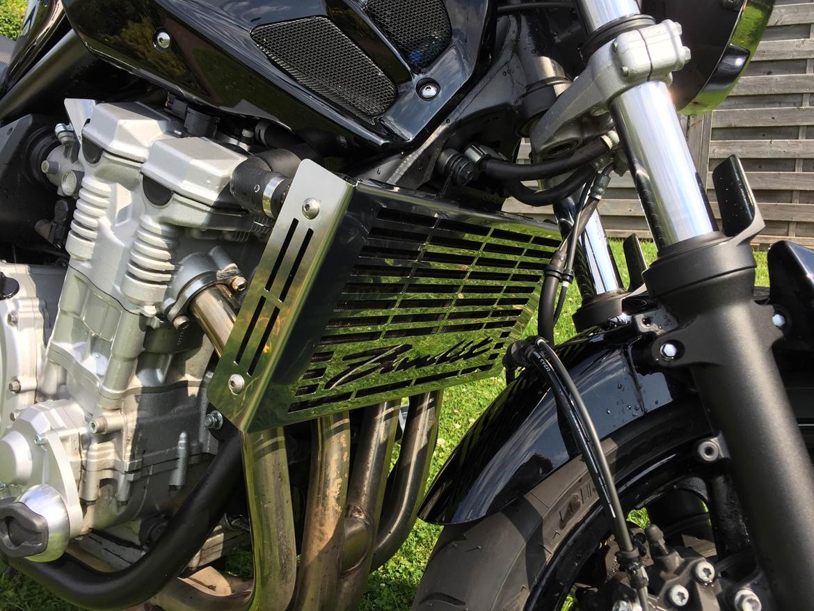 Suzuki GSF 650 Bandit billede 7