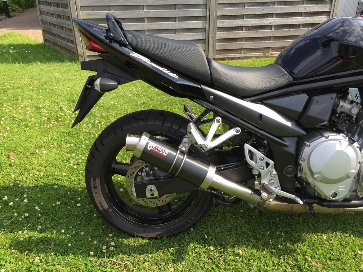 Suzuki GSF 650 Bandit billede 9