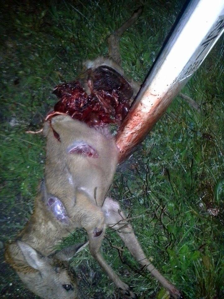 Suzuki GSXR 600 Srad (750) - Ramt med lige godt 140. på vej på natte arbejde 8/9-2014. Jeg holder Mc'en på vejen og jeg fejler intet. møder på arbejde en time sener efter jeg fik tranpoteret Mc'en hjem på trailer og lige fik et bad..  billede 22