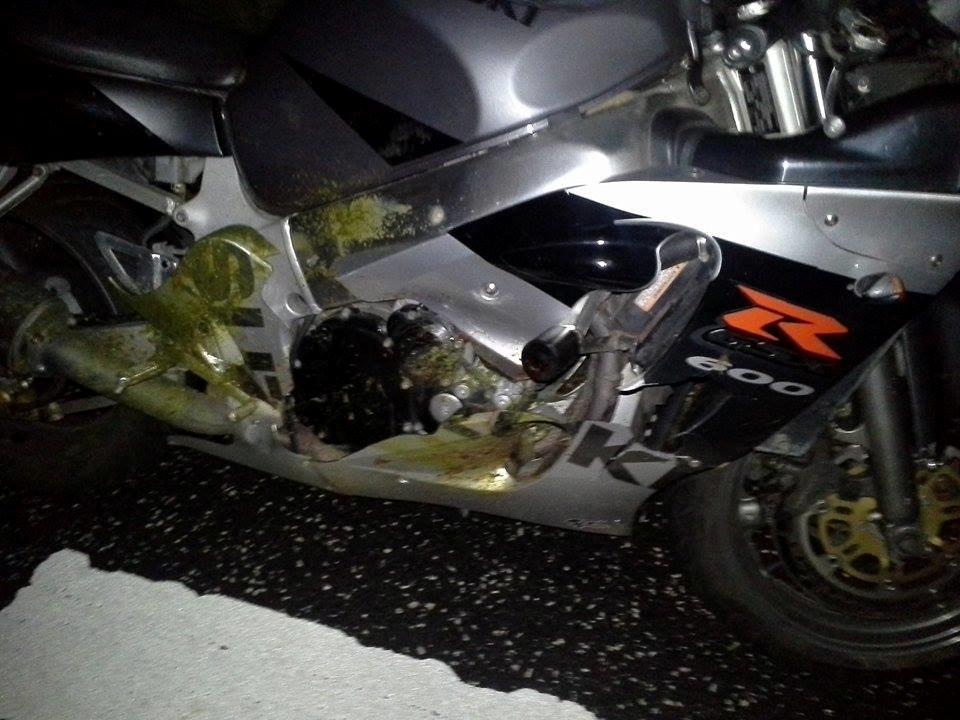 Suzuki GSXR 600 Srad (750) - Ramte rådyr med lige godt 140. på vej på natte arbejde 8/9-2014. Jeg holder Mc'en på vejen og jeg fejler intet. møder på arbejde en time sener efter jeg fik tranpoteret Mc'en hjem på trailer og lige fik et bad..  billede 24