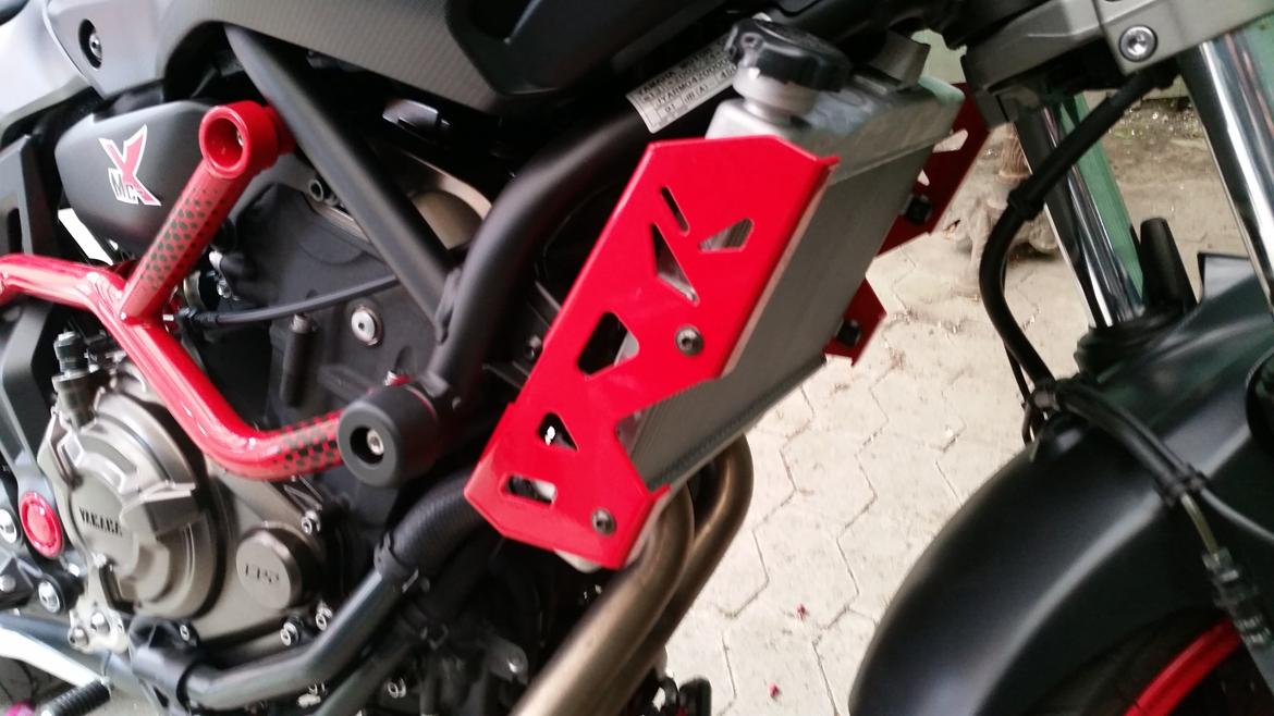 Yamaha MT 07 Moto Cage billede 6