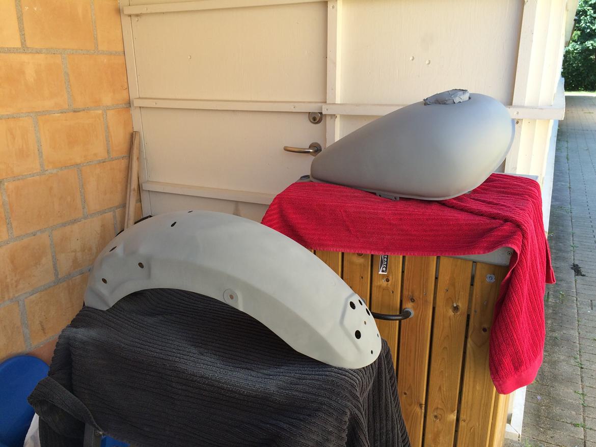 Ledow Borelli billede 13