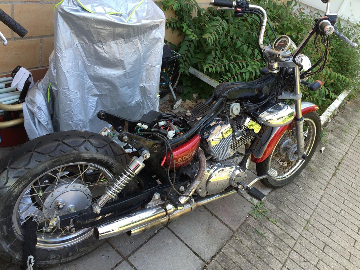 Ledow Borelli billede 14