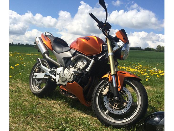 Honda CB 600 Hornet (solgt) billede 1