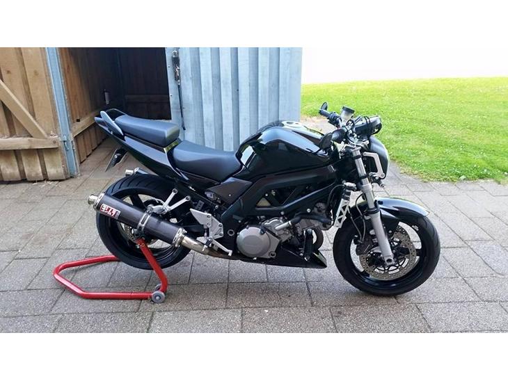 Suzuki SV1000S billede 1